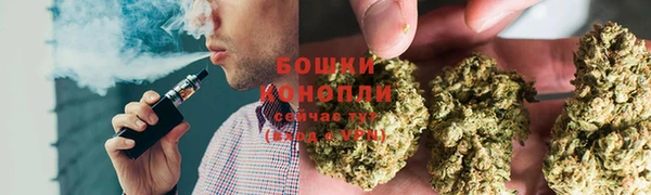 не бодяженный Арсеньев